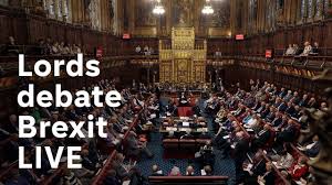 The House Of Lords Debates Brexit Youtube