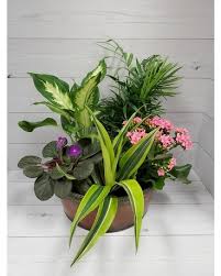 Maybe you would like to learn more about one of these? Denver Florist Find A Florist In A City Near You