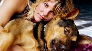 Want Bill Murray In Your Movie? The Director of 'St. Vincent' Knows How to  Get Him