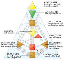 the nine centersthe nine centers are represented by nine