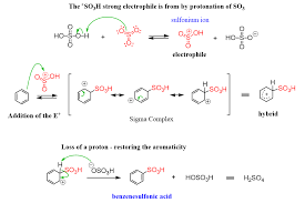 sulfonation of benzene electrophilic aromatic substitution