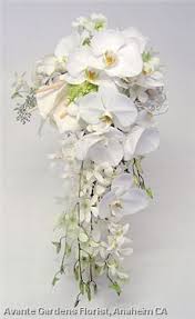 We did not find results for: Purple Dendrobium Orchids Ramadhan 2011 White Orchid Bouquet Orchid Bouquet Wedding Orchid Bouquet