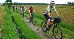 Find the most popular bikes in indonesia in july 2021. Countryside Cycling Bali Indonesia Anywhere