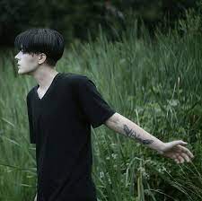 Pin By Elise Nyenhuis On Cosplay Levi Cosplay Levi Haircut Attack On Titan Levi