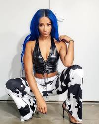 Sasha banks is about to join that world, and i don't think wwe is ready for it. Watch Wwe Superstar Sasha Banks Make Surprise Appearance In Season 2 Trailer For Hit Disney Series The Mandalorian