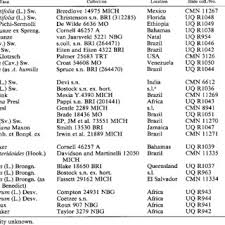 Image result for Mohria lepigera