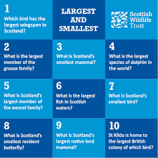 Read on for some hilarious trivia questions that will make your brain and your funny bone work overtime. Wild Trivia Largest And Smallest Blog Scottish Wildlife Trust