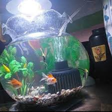 Memelihara ikan hias di meja kerja dengan aquarium kecil dan unik, itu mangharuskan kalian memilih jenis ikan hias yang bisa bertahan hidup tanpa oh ya ini adalah kisaran, yang jual aquarium bulat ini tentunya berbeda beda harganya setiap toko ikan hias satu dengan yang lainya, atau toko online. Mini Filter Aquarium Crown 58 Ns Filter Aquarium Bulat Filter Mini Filter Anak Ikan Kecil Shopee Indonesia
