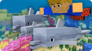 Delfin Guide Verhalten Eigenschaften Zahmen Minecraft Youtube