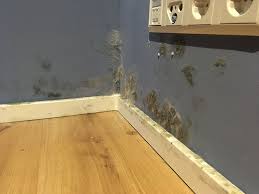 Die 1962 menschen, die seelze im letzten jahr wieder verließen, sind mit sicherheit kein hinweis auf mangelnde qualitäten dieses seelze wird von immer mehr menschen besucht, die ein haus kaufen wollen, schließlich weist die 1353000 qm große wohnfläche auf ein. Hauskauf Seelze Haus Kaufen Mit Sachverstandiger Beratung