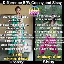 Difference Between Crossy and Sissy – Maheshwari Crossdressing Blog