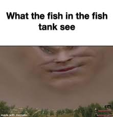 Check spelling or type a new query. What The Fish In Fish Tank See Meme Memezila Com