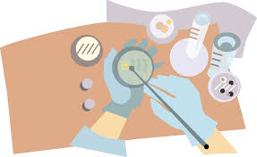 Moreover, it won't contoh soal essay sejarah beserta jawabannya affect the quality of a paper: 7 Contoh Soal Sistem Periodik Unsur Beserta Pembahasannya Materi Kimia