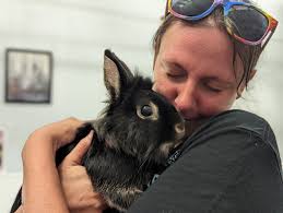 🆘Snickers really needs a superhero! He was surrendered to the shelter when  his owner passed away. At 8 years old, he is very confused as to how he  ended up in the