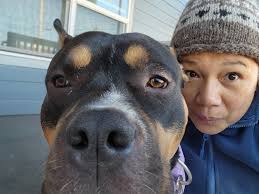 Hi all! I just wanted to introduce myself and share a photo I took