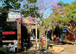 Cafecito Organico Costa Mesa Coffee Places Orange County California Living