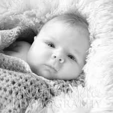 D.Naftzinger Photography