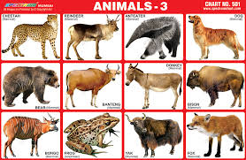 Spectrum Educational Charts Chart 501 Animals 3
