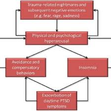 Pdf Cognitive Behavioral Therapy For Insomnia And Nightmares In Ptsd