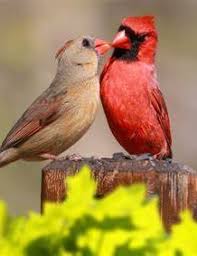 Obituary information for Karen L. Compton