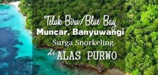 Lokasi teluk biru berada di muncar banyuwangi di balik semenanjung sembulungan, teluk ini masih masuk di kawasan taman nasional alas purwo. Teluk Biru Muncar Banyuwangi Paket Wisata Bromo Malang Ijen Jawa Timur Harga Murah