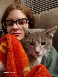 Missing Cat Sushi in Walnut Dr, South of Blaze Ave