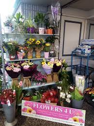Maybe you would like to learn more about one of these? Flowers4u Home Facebook