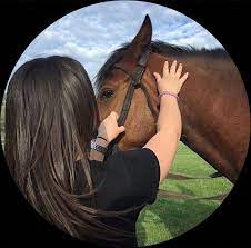 pin by 𓃗 on افتارات بناتム in 2021 aesthetic photography grunge cute horse pictures cool instagram pictures