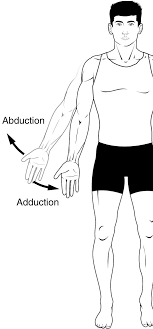 2,102 отметок «нравится», 13 комментариев — karl eagleman (@whiteboard_daily) в instagram: Https Clinicalanatomy Ca Labs 411movements Pdf