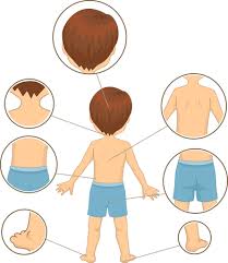 The browser you are using does not support html5 audio playback. 151 590 Human Body Parts Stock Photos And Images 123rf