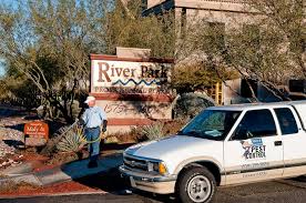 We can help you identify them so that you can take steps to manage weeds. Weed Pest Control In Tucson Az Maly Associates