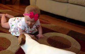 Baby Laughs Hysterically As Dog Pops Bubbles Videos Metatube