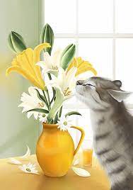 猫和百合花 狸花猫 original paintings illustration painting