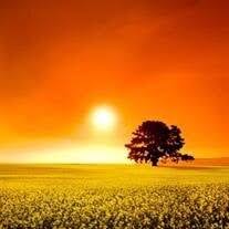 Keith Sevier Kays AIA Obituary (2025)