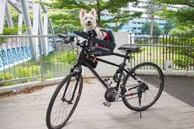 Vanillapup The Dog Blog In Singapore Dog Travel Dog Travel Accessories Dog Blog