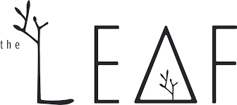 Image result for Haplocoelum inoploeum