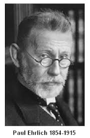 Ehrlich theorized from very early in his career that chemical structure could be used to explain why the immune response occurred in reaction to infection. View Of Paul Ehrlich From Magic Bullets To Chemotherapy Colombia Medica