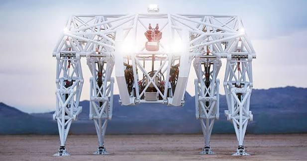 Prosthesis — image 4