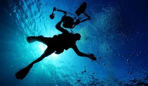 Veja avaliações e fotos de 10 desportos aquáticos em portugal, europa no tripadvisor. Acores Participam Em Feira De Desportos Aquaticos E Mergulho Nos Eua Publituris Publituris