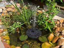 Use a very low nutrient soil (you can buy special soil for ponds), mixed with grit. Diy Mini Pond How To Build A Pond Small Pond Garden Pond