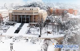 강원대 춘천 = 충북대 >> 전북대 >> 경상 제주 - 디시인사이드