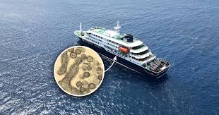 Survivor shares what it's like to be infected with hantavirus as cases reach Europe following infected cruise