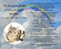 There is plenty of food, water and sunshine, and our friends are warm and comfortable. Personalized Rainbow Bridge Pet Loss Memorial Poem Dog Cat 8x10 Print With Photo Ebay
