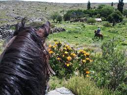 Ride through the vast patagonian landscape of open plains, valleys and rivers. Horse Riding Holiday In Argentina Responsible Travel