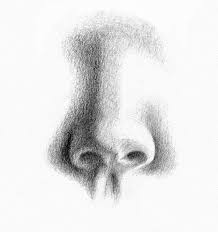 Step 8 i have lightened some of the lines a bit. Pencil Portrait Drawing How To Draw A Nose