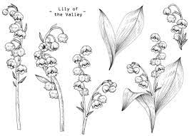 I finished off the card with a smattering of glitter to the beautiful lily of the valley flowers, both on the oval and down the left side. Flowers Transparent Clear Stamps For Diy Scrapbooking Card Making Fun Decoration Supplies A0100 Stamps Aliexpress