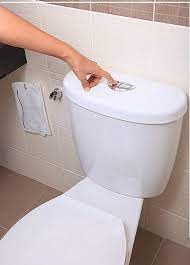 Definitely one of the best toilets out there. Best Flushing Toilets Strongest Toilet Reviewed July 2021