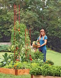 Chief marketing officer, gardener's supply company. Gardener S Supply Company Powerreviews