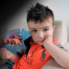 Family devastated after their dog is killed in hit and run accident