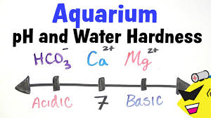 Aquarium Ph And Water Hardness